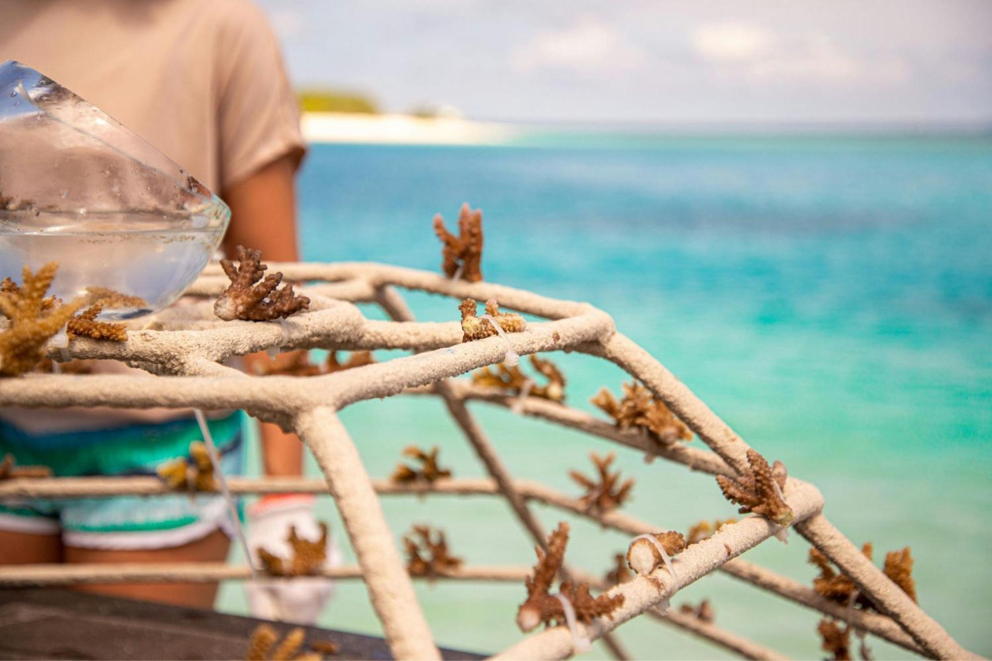 Sheraton Maldives Full Moon Resort & Spa Hulhumale Exterior foto